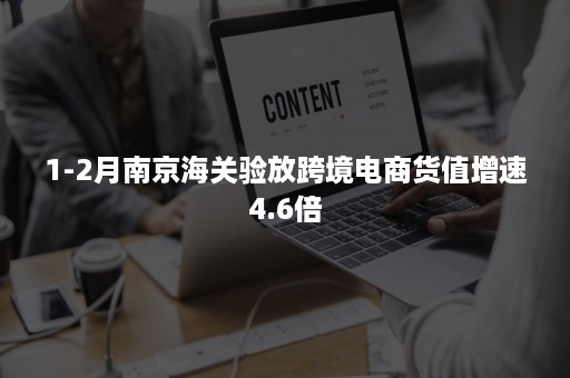 1-2月南京海关验放跨境电商货值增速4.6倍