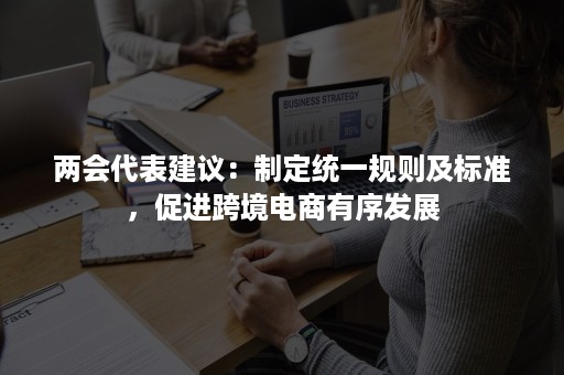 ***表建议：制定统一规则及标准，促进跨境电商有序发展