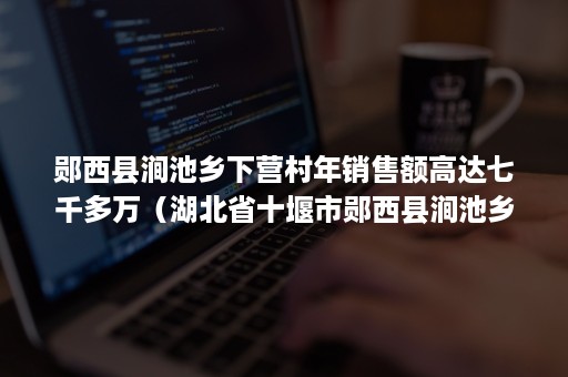 郧西县涧池乡下营村年销售额高达七千多万（湖北省十堰市郧西县涧池乡下营村）