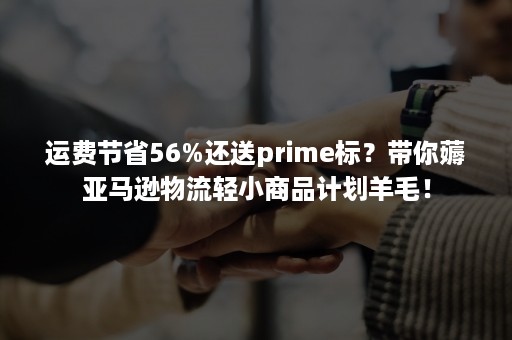 运费节省56%还送prime标？带你薅亚马逊物流轻小商品计划羊毛！