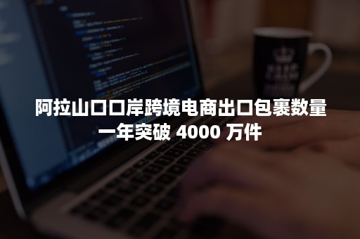 阿拉山口口岸跨境电商出口包裹数量一年突破 4000 万件