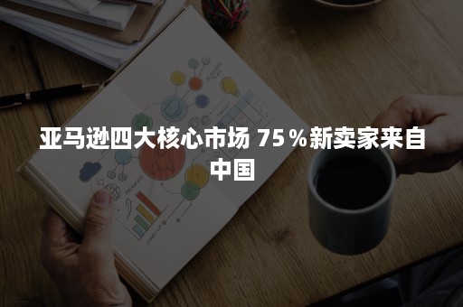 亚马逊四大核心市场 75％新卖家来自中国