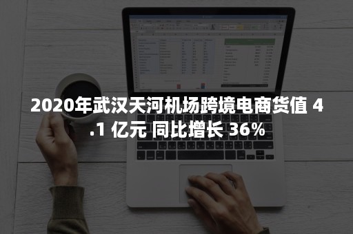 2020年武汉天河机场跨境电商货值 4.1 亿元 同比增长 36%