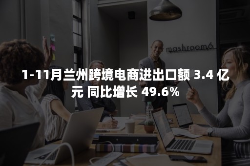 1-11月兰州跨境电商进出口额 3.4 亿元 同比增长 49.6%