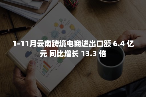 1-11月云南跨境电商进出口额 6.4 亿元 同比增长 13.3 倍