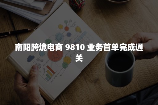 南阳跨境电商 9810 业务首单完成通关