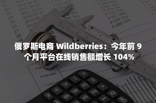 俄罗斯电商 Wildberries：今年前 9 个月平台在线销售额增长 104%