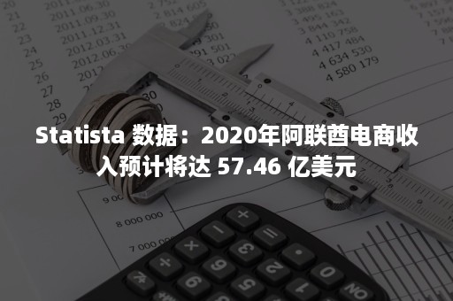 Statista 数据：2020年阿联酋电商收入预计将达 57.46 亿美元