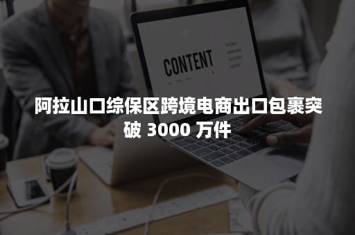 阿拉山口综保区跨境电商出口包裹突破 3000 万件