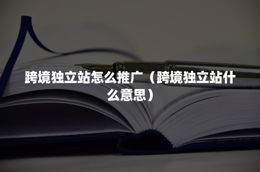 跨境独立站怎么推广（跨境独立站什么意思）