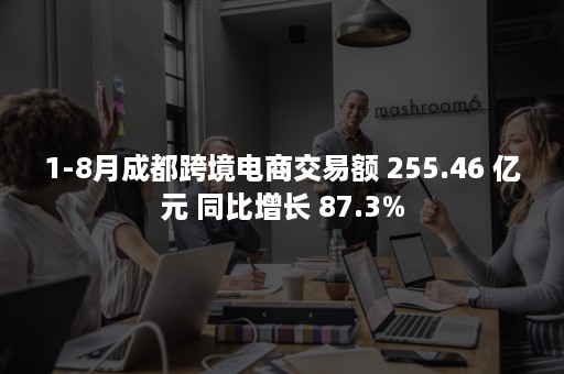 1-8月成都跨境电商交易额 255.46 亿元 同比增长 87.3%