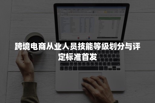 跨境电商从业人员技能等级划分与评定标准首发