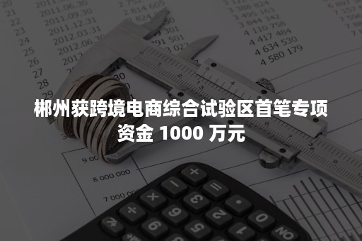 郴州获跨境电商综合试验区首笔专项资金 1000 万元