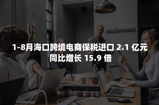 1-8月海口跨境电商保税进口 2.1 亿元 同比增长 15.9 倍