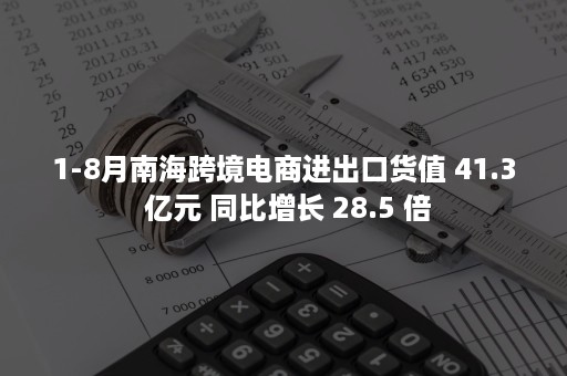 1-8月南海跨境电商进出口货值 41.3 亿元 同比增长 28.5 倍