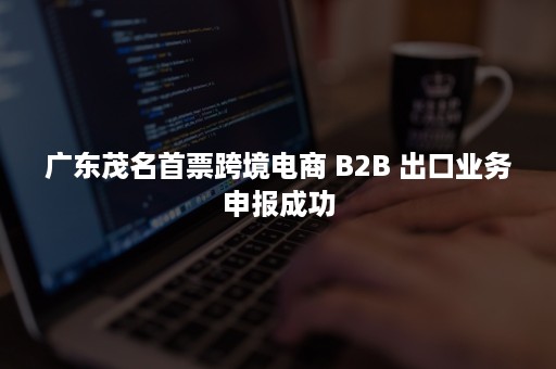 广东茂名首票跨境电商 B2B 出口业务申报成功