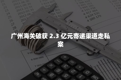 广州海关破获 2.3 亿元寄递渠道走私案