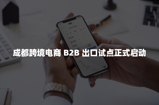 成都跨境电商 B2B 出口试点正式启动