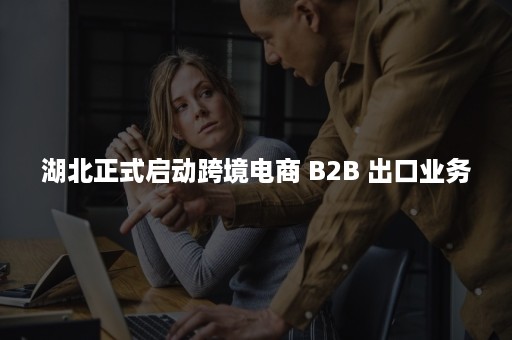 湖北正式启动跨境电商 B2B 出口业务