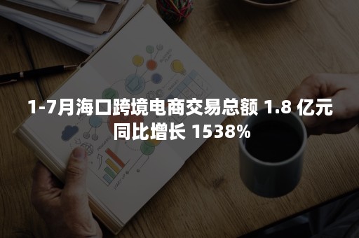 1-7月海口跨境电商交易总额 1.8 亿元 同比增长 1538%