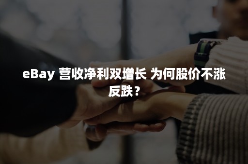 eBay 营收净利双增长 为何股价不涨反跌？