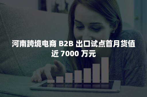 河南跨境电商 B2B 出口试点首月货值近 7000 万元