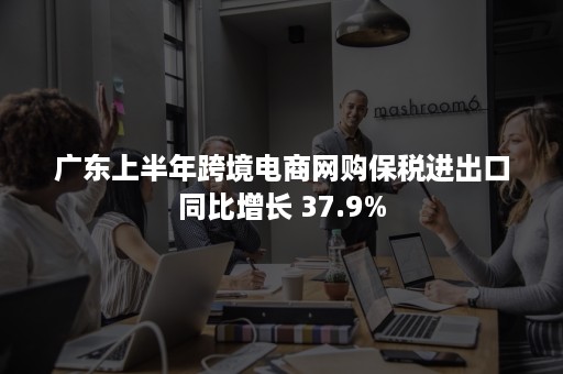 广东上半年跨境电商网购保税进出口同比增长 37.9%