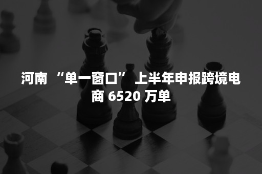 河南 “单一窗口” 上半年申报跨境电商 6520 万单