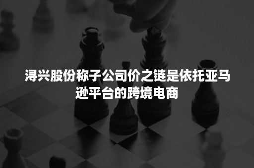 浔兴股份称子公司价之链是依托亚马逊平台的跨境电商