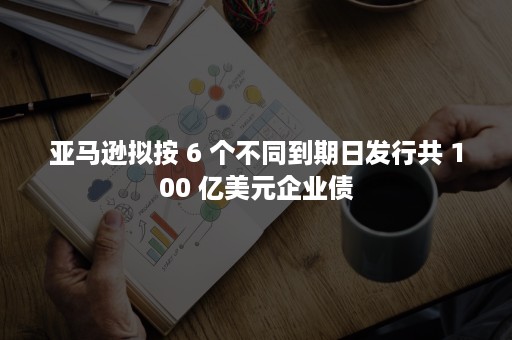 亚马逊拟按 6 个不同到期日发行共 100 亿美元企业债