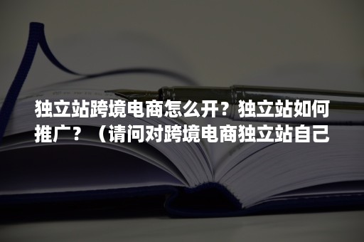 独立站跨境电商怎么开？独立站如何推广？（请问对跨境电商独立站自己有了解吗?）