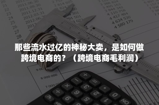 那些流水过亿的神秘大卖，是如何做跨境电商的？（跨境电商毛利润）