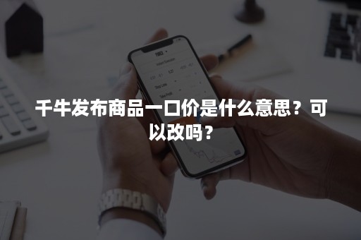 千牛发布商品一口价是什么意思？可以改吗？