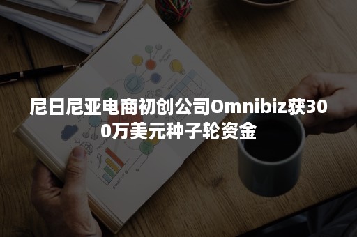 尼日尼亚电商初创公司Omnibiz获300万美元种子轮资金