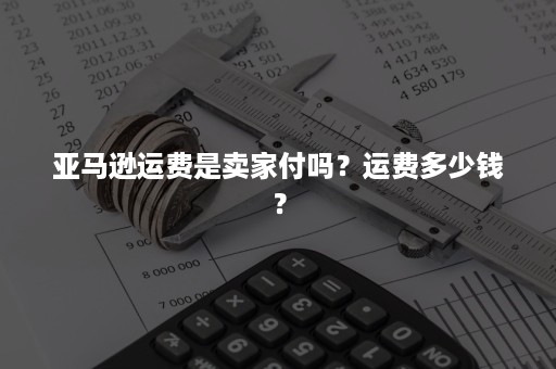 亚马逊运费是卖家付吗？运费多少钱？