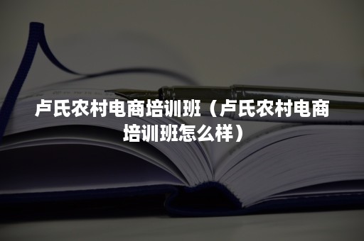 卢氏农村电商培训班（卢氏农村电商培训班怎么样）