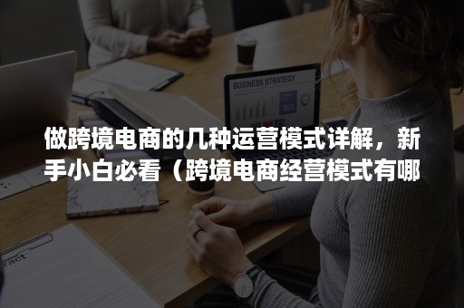 做跨境电商的几种运营模式详解，新手小白必看（跨境电商经营模式有哪些）