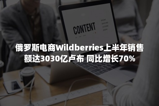 俄罗斯电商Wildberries上半年销售额达3030亿卢布 同比增长70%