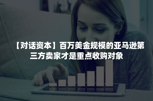 【对话资本】百万美金规模的亚马逊第三方卖家才是重点收购对象