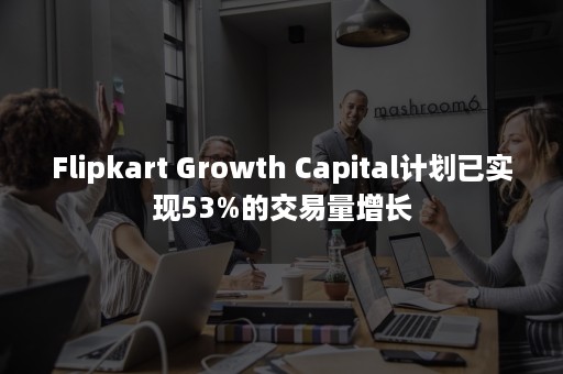 Flipkart Growth Capital计划已实现53%的交易量增长