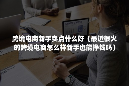 跨境电商新手卖点什么好（最近很火的跨境电商怎么样新手也能挣钱吗）