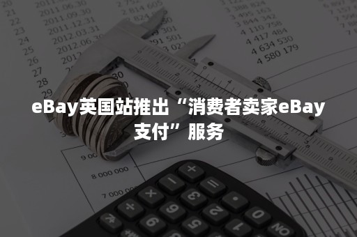 eBay英国站推出“消费者卖家eBay支付”服务