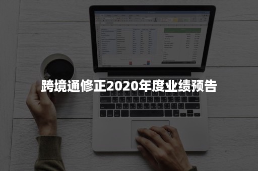 跨境通修正2020年度业绩预告