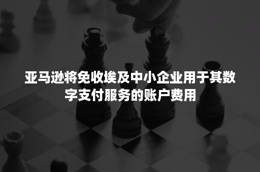 亚马逊将免收埃及中小企业用于其数字支付服务的账户费用