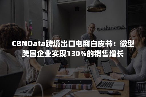 CBNData跨境出口电商白皮书：微型跨国企业实现130%的销售增长