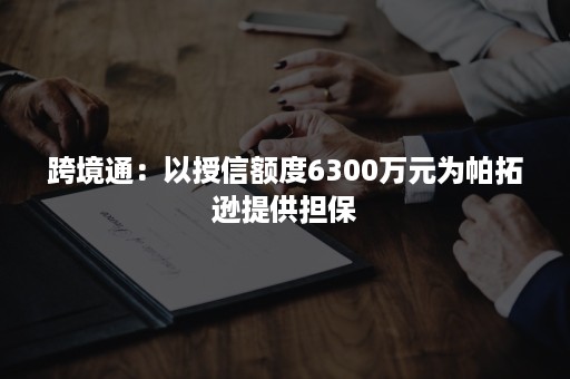 跨境通：以授信额度6300万元为帕拓逊提供担保