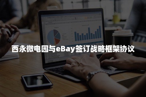 西永微电园与eBay签订战略框架协议