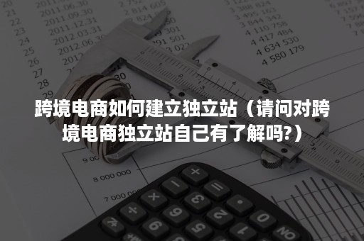 跨境电商如何建立独立站（请问对跨境电商独立站自己有了解吗?）