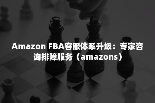 Amazon FBA客服体系升级：专家咨询排障服务（amazons）