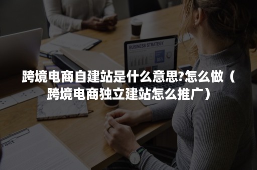 跨境电商自建站是什么意思?怎么做（跨境电商独立建站怎么推广）